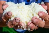 Diêm dân "rang mình" dưới nắng 40 độ, đổi lấy hơn 200 nghìn đồng mỗi ngày