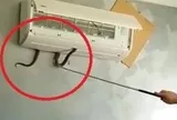 Cách phòng tránh rắn chui vào điều hòa trong ngày hè