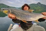 "Cọp nước" khét tiếng vùng Đà Giang: Hung dữ không loài nào sánh bằng