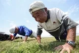 Người sống thọ thường có 7 đặc điểm chung này