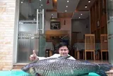 "Thủy quái" sông Đà và bí mật phía sau kích thước khổng lồ