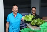 Phát hiện người đàn ông kiếm hơn 31.000 tỷ đồng/năm nhờ kinh doanh rau củ