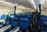 Rắn bò trên khoang khách máy bay Tui