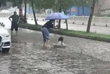 Đoạn clip vài giây trên phố ngày mưa ngập khiến hàng ngàn người ghen tỵ: Thật là 1 đứa trẻ GIÀU CÓ!