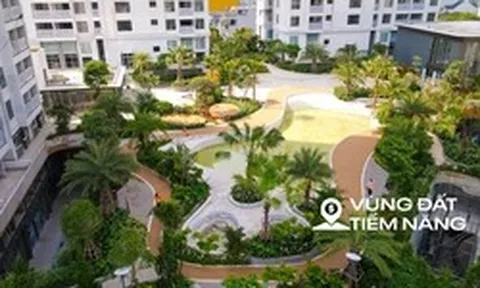 Thị trường căn hộ TP.HCM: Khu Đông áp đảo nguồn cung