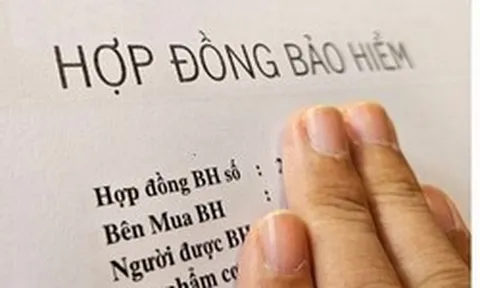 Người mua bảo hiểm nhân thọ bị công ty từ chối chi trả quyền lợi trong những trường hợp sau