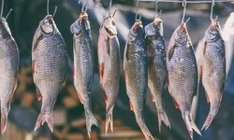 4 loại cá làm tăng nguy cơ mắc ung thư nếu lạm dụng: Thích tới mấy cũng phải hạn chế