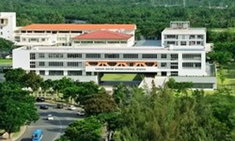 TP.HCM có ngôi trường thu học phí gần 1 tỷ đồng/năm: Là trường quốc tế phi lợi nhuận duy nhất, khuôn viên rộng 6 hecta, 3 sân bóng