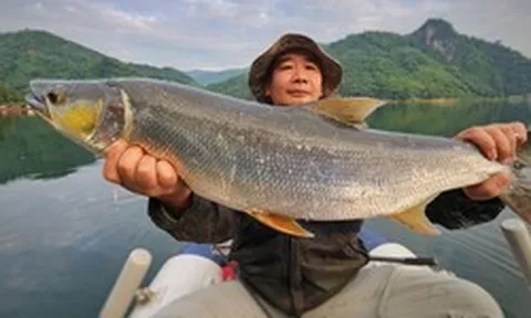 "Cọp nước" khét tiếng vùng Đà Giang: Hung dữ không loài nào sánh bằng
