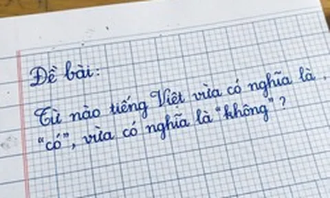 Trong tiếng Việt có một từ vừa là có vừa là không