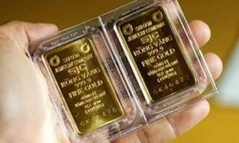 Năm 2011 đu đỉnh vàng rồi mòn mỏi chờ 10 năm mới "về bờ", năm 2026 lại mua ở đỉnh 192 triệu đồng/lượng, bao giờ mới có lãi?