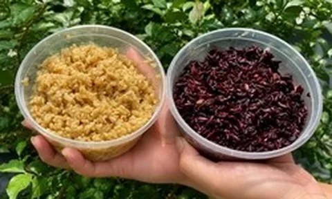 Ăn cơm rượu nếp, thổi nồng độ cồn có lên không?
